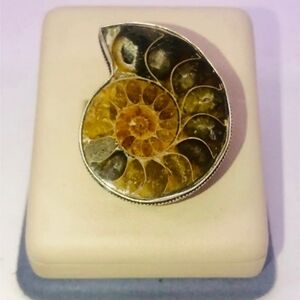 AMAZING AMMONITE FOSSIL STONE. 925 SILVER RING SIZE 8 BRAND NEW!